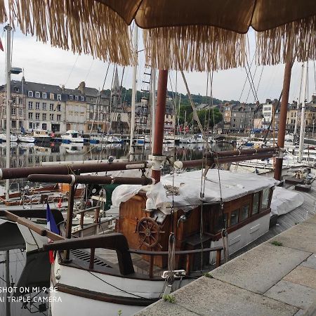 Proche Honfleur Gite Avec Piscine Equemauville Ngoại thất bức ảnh